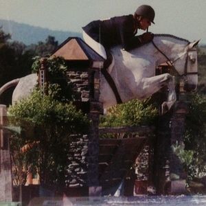 Meet your Posher, Wendy